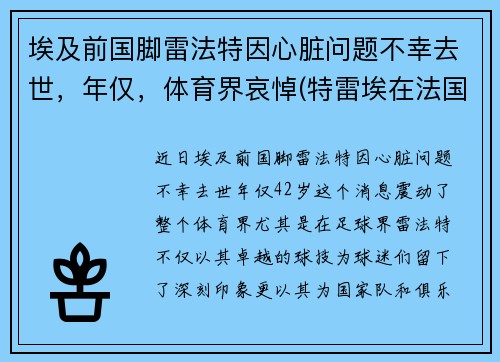 埃及前国脚雷法特因心脏问题不幸去世，年仅，体育界哀悼(特雷埃在法国什么位置)