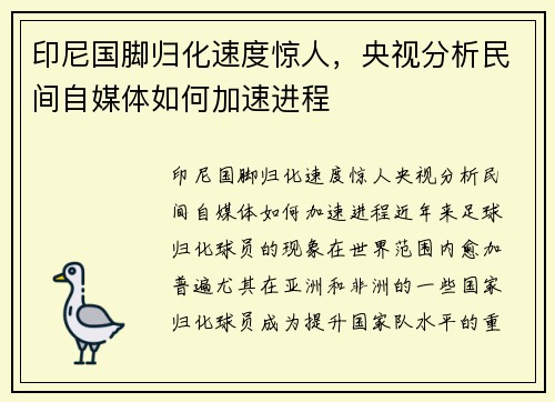 印尼国脚归化速度惊人，央视分析民间自媒体如何加速进程