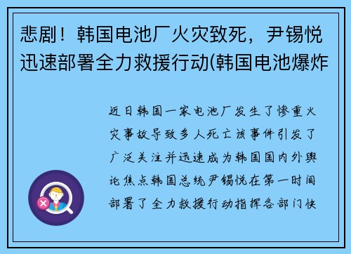 悲剧！韩国电池厂火灾致死，尹锡悦迅速部署全力救援行动(韩国电池爆炸)